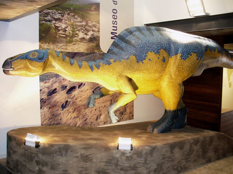 Файл:Arenysaurus.jpg