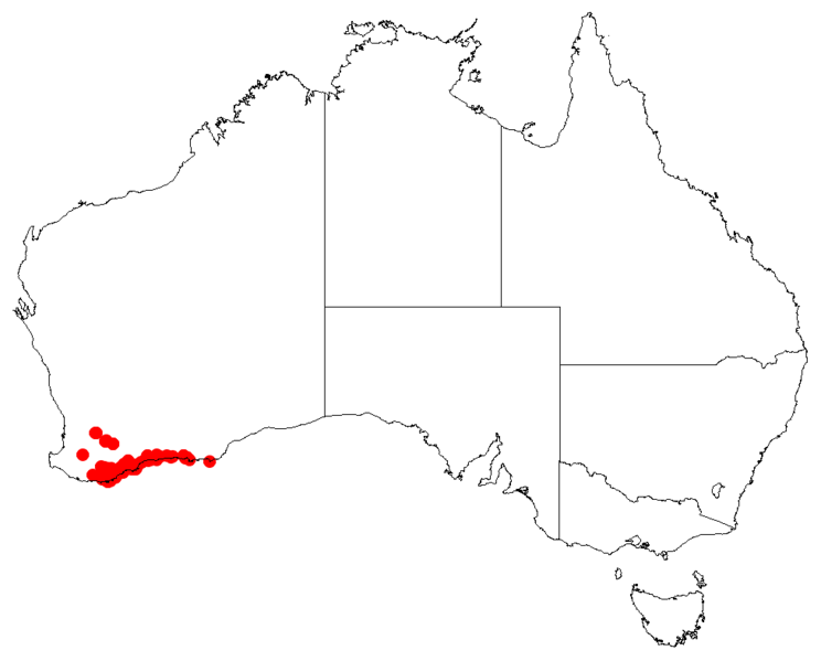 Файл:Hakea ferrugineaDistMap50.png