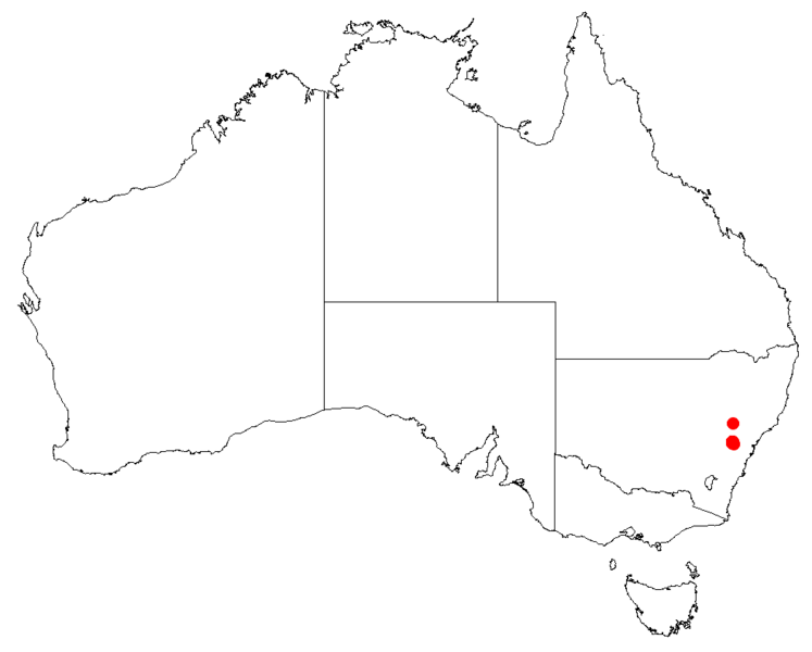 Файл:PersooniahindiiDistMap35.png