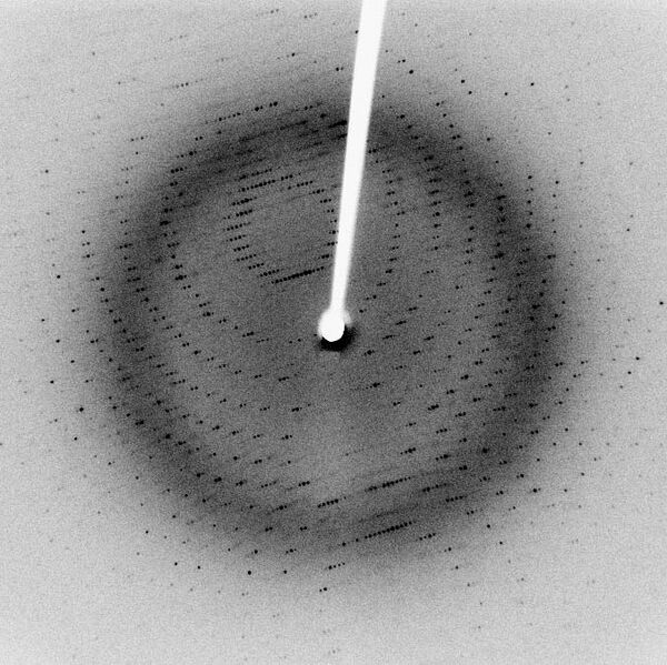 Файл:X-ray diffraction pattern 3clpro.jpg