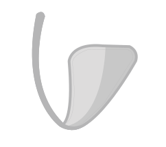 Файл:CStringIllustration.svg