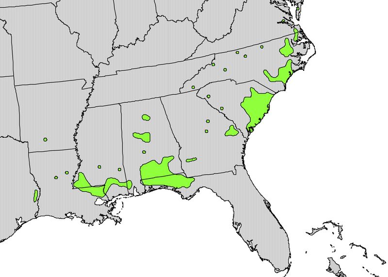 Файл:Stewartia malacodendron range map.jpg