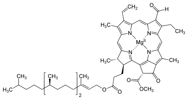 Файл:Chlorophyll b structure.svg