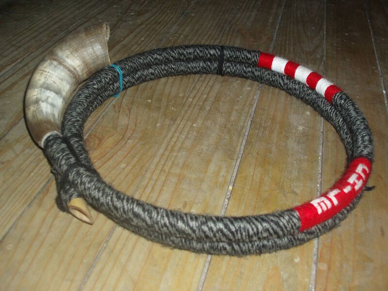 Файл:Instrument Mapuche.JPG