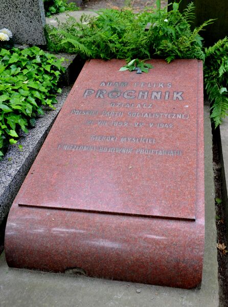 Файл:Adam Prochnik grave.JPG
