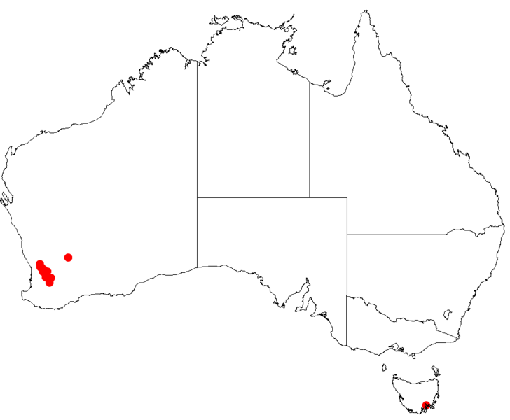 Файл:Hakea loranthifoliaDistMap77.png
