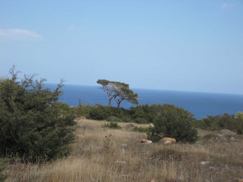 Файл:Cape Greco 02.JPG