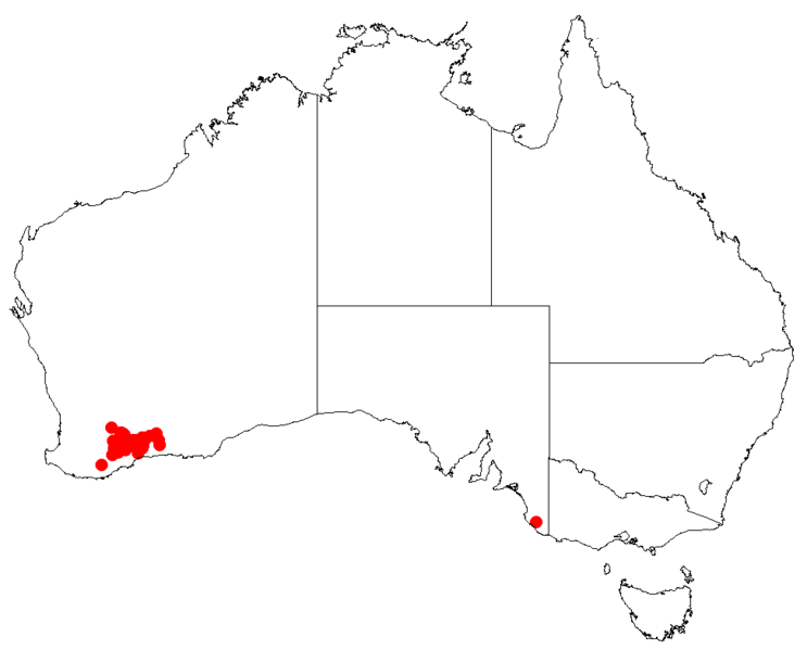 Файл:Hakea horridaDistMap61.png