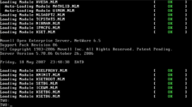 Консоль Novell NetWare 6.5 SP6
