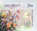 Миниатюра для версии от 10:55, 10 августа 2024