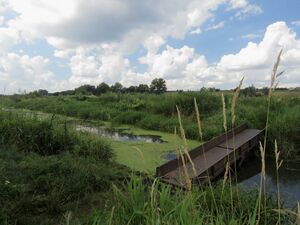 Река Рокач у Бучи