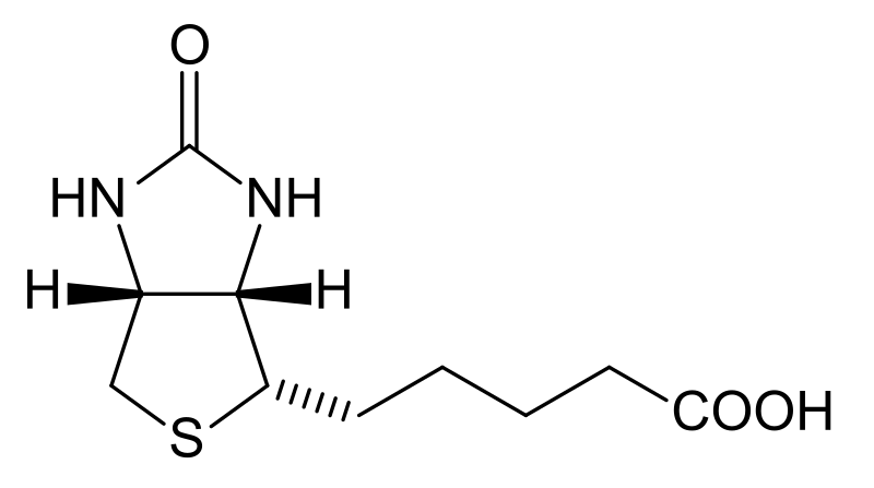 Файл:Biotin structure.svg
