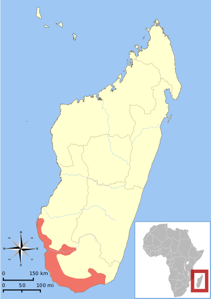 Файл:Microcebus griseorufus range map.svg