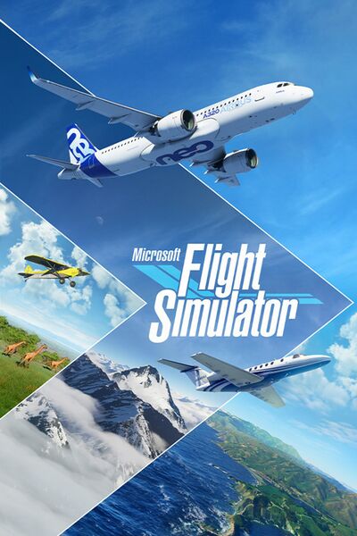 Файл:Microsoft Flight Simulator (2020).jpeg