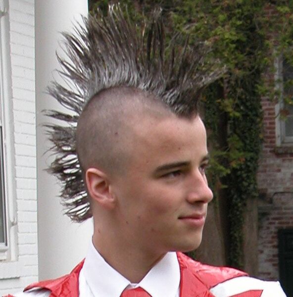 Файл:User-Ich with Mohawk.jpg