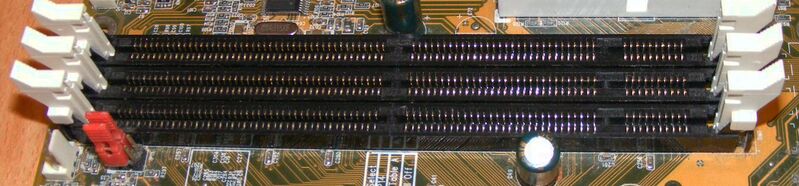 Файл:3SDRAM-DIMMs.jpg