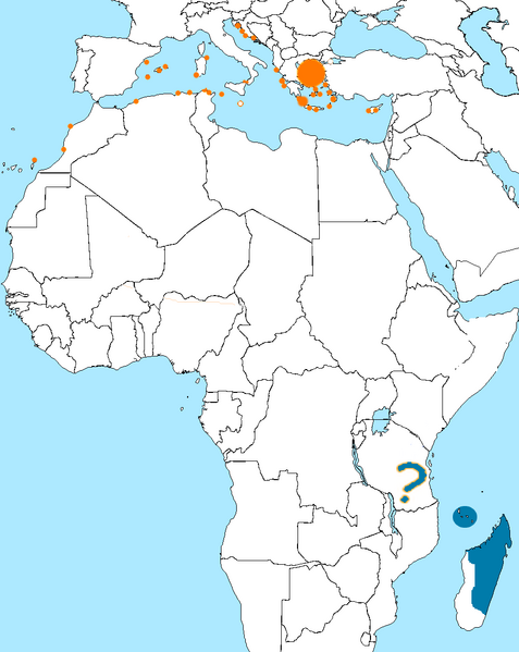Файл:Eleonora's Falcon Range Map.png
