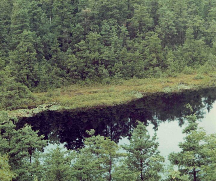 Файл:Ell Pond-Rhode Island kettle hole.jpeg