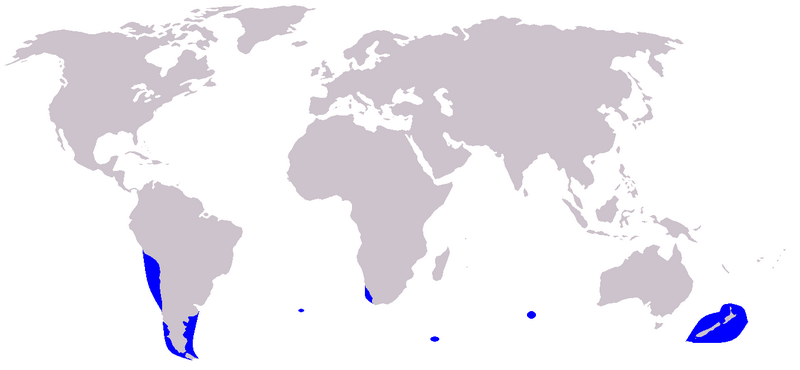 Файл:Cetacea range map Dusky Dolphin.PNG