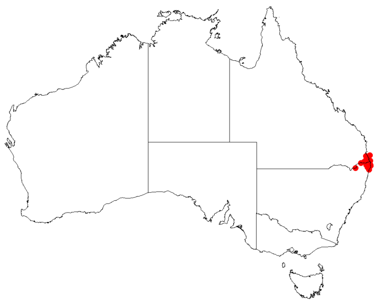 Файл:PersooniaadenanthaDistMap4.png