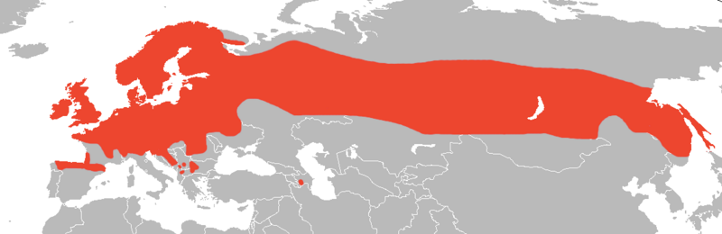 Файл:Vivaprous lizard range.png
