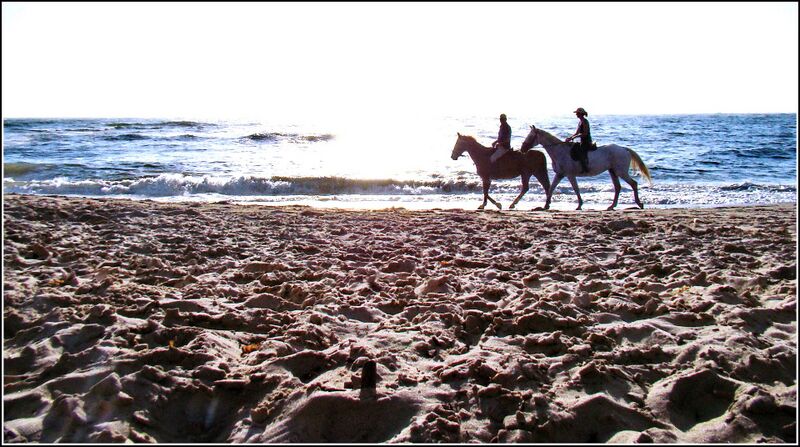 Файл:Atlantic Namibia.jpg