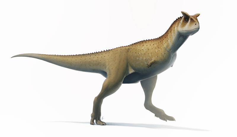 Файл:Carnotaurus 2017.png