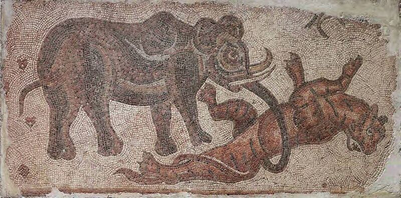 Файл:Elephant Attacking a Feline.jpg