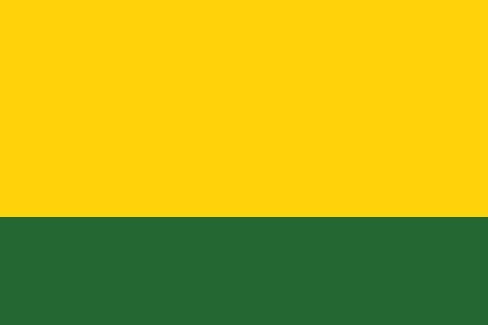 Файл:Flag of Chitaraque (Boyacá).svg