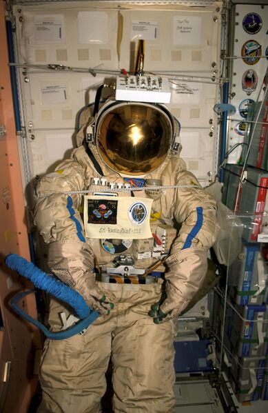 Файл:Iss012e15666.jpg