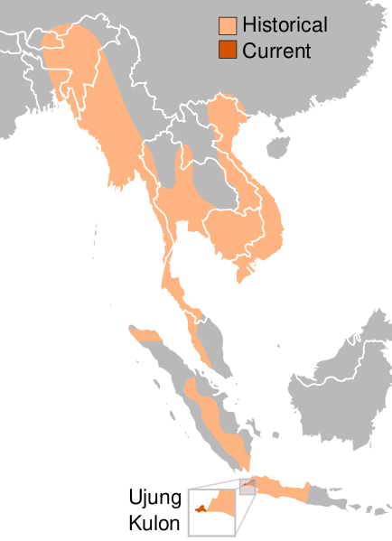 Файл:Javan Rhino Range.svg