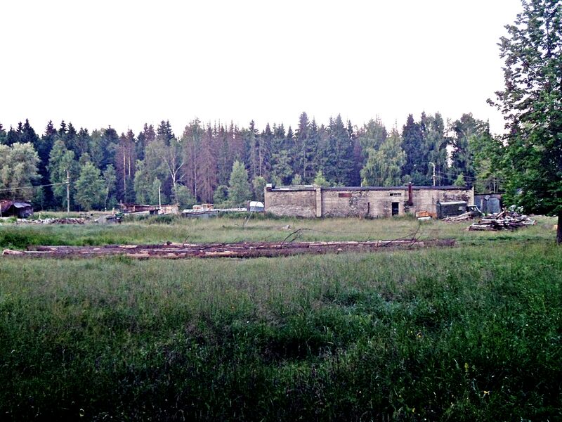 Файл:Subsidiary farm «Dvoriki».JPG