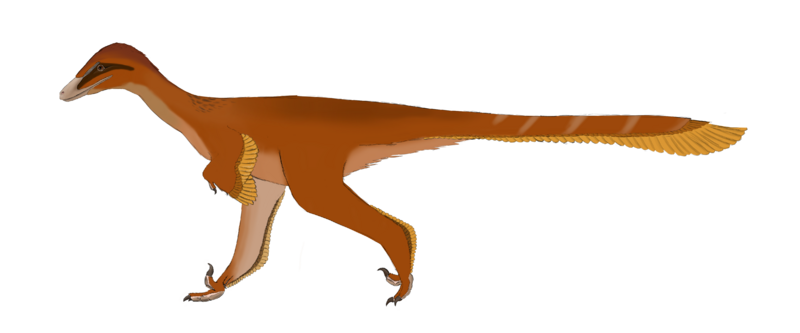 Файл:Linhevenator Reconstruction.png