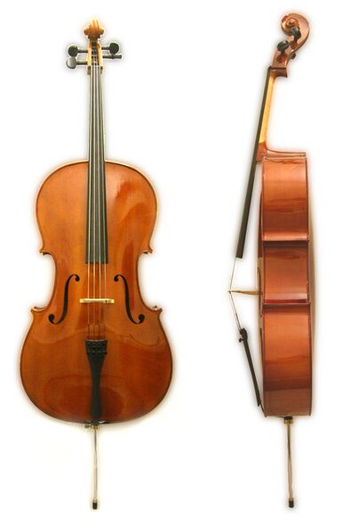 Файл:Cello front side.jpg