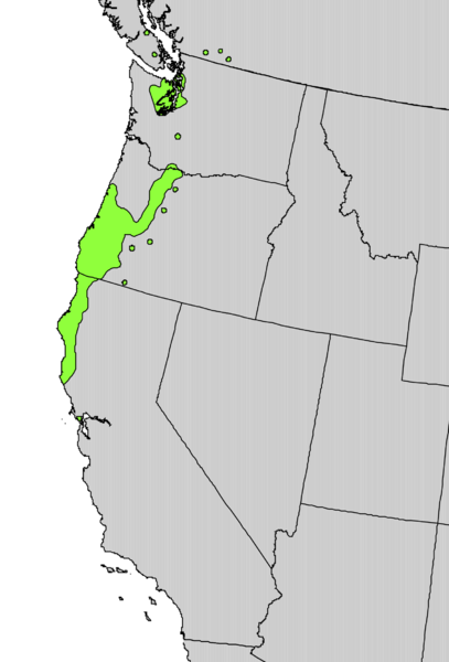 Файл:Rhododendron macrophyllum range map.png