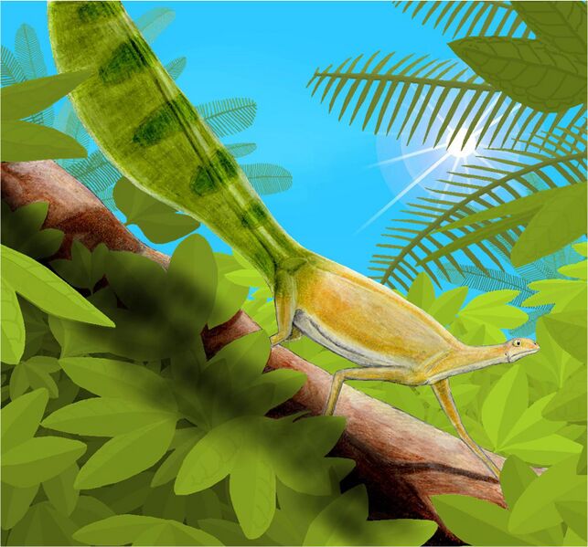 Файл:Hypuronector.jpg