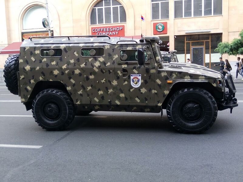 Файл:Armenian-tigr.jpeg