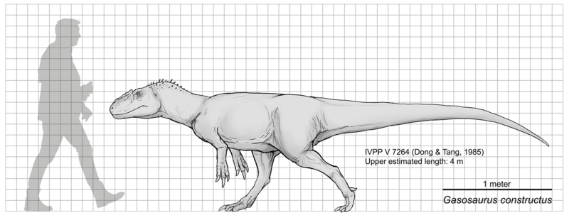 Файл:Gasosaurus constructus scale diagram.png