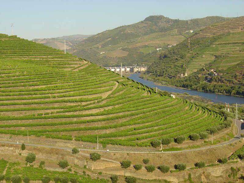 Файл:Régua Douro 4.JPG