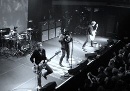 Концертное выступление The Cult, 2 ноября 2010