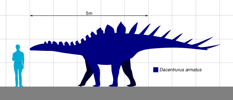 Файл:Dacentrurus Scale.svg