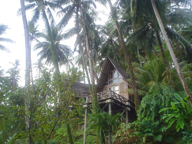 Файл:Forest hut.JPG