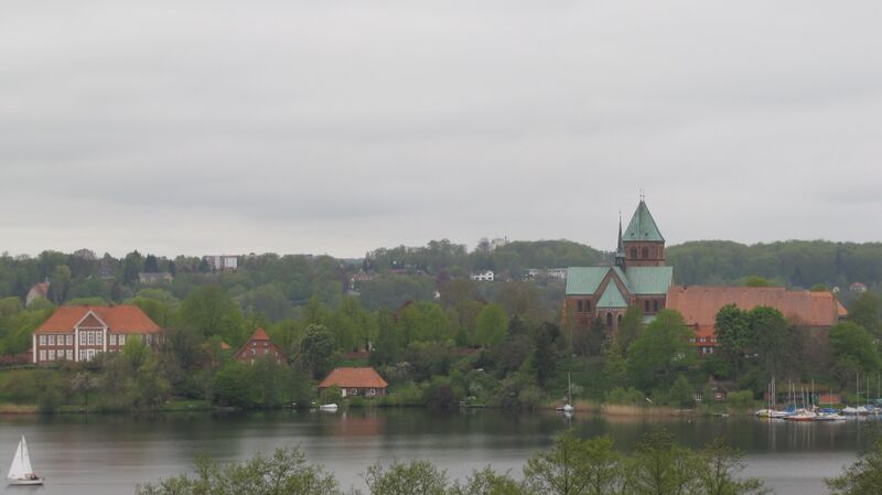 Файл:Domblick RZ.JPG