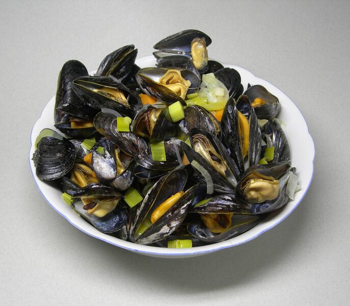 Файл:Rheinische Muscheln.jpg