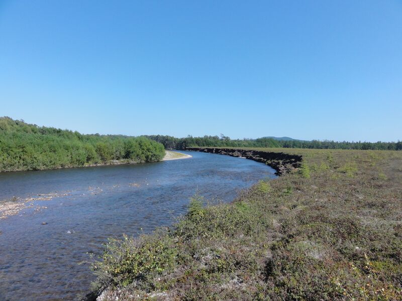 Файл:Botchi river.jpg
