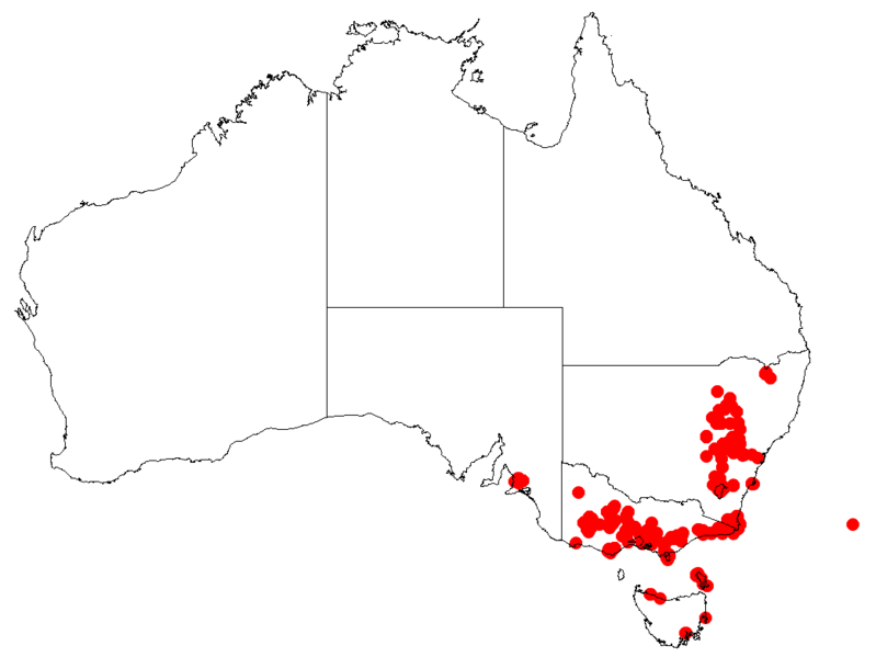 Файл:Hakea decurrensDistMap36.png