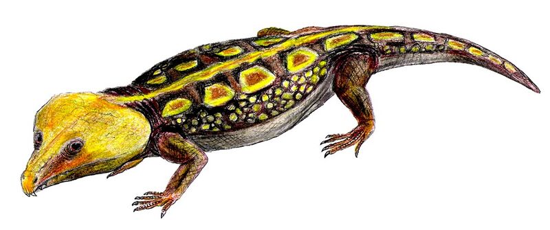 Файл:Labidosaurus.jpg