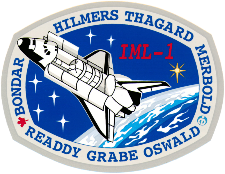 Файл:Sts-42-patch.png