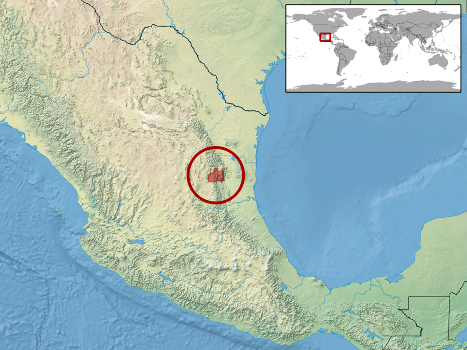 Файл:Xenosaurus platyceps distribution.png