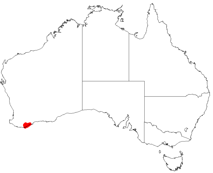 Файл:Hakea lasiocarphaDistMap69.png
